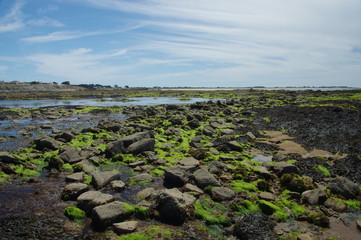 Wall Mural - plage de l'herbaudière