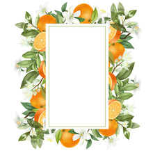 Vertical Frame Of Hand Drawn Blooming Orange Tree Branches, Flowers, Oranges On White Background