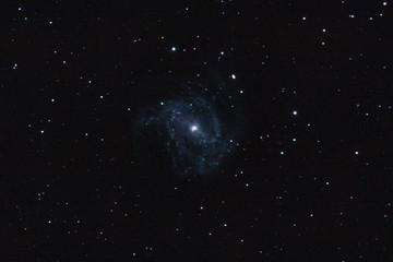 m83 - southern pinwheel galaxy