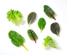 Various Salad Leaves On A White Background