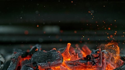 Wall Mural - Black charcoal in bonfire, super slow motion shooting on high speed camera at 1000fps