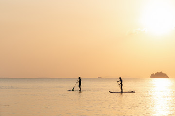 Wall Mural - Couple swims on paddle boards on the sea against the backdrop of islands and golden sunset