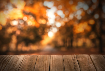 Wall Mural - Empty wooden table in beautiful autumn park