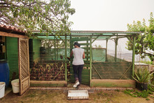 Back View Of Female Farmer Entering Hen House And Feeding Chickens On Cloudy Day In Rural Area