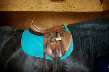 Comfortable Brown Saddle With Billet Straps Under Blue Saddle Tree On Warm Blooded Black Stallion With Smooth Skin Covering Standing Near Concrete Wall With Blots In Stabling
