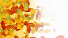 Autumn Abstract Motion Design With Colorful Leaves