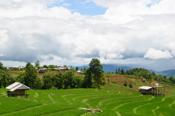 Field and valley scenery on nature background