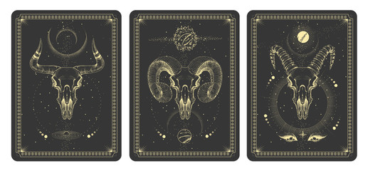 Wall Mural - modern magic witchcraft taros cards with animal skulls vector illustration