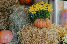 Pumpkins And Autumn Flowers On Hay Bale, Rustic Festive Decoration Of European City Street. Halloween Street Decor. Happy Thanksgiving And Halloween