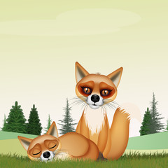 Sticker - red foxes in the forest