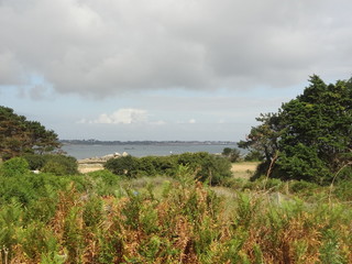 Poster - Ile Callot, Finistère, Bretagne, France