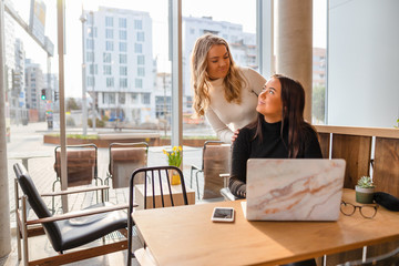 Wall Mural - Female Friends With Laptop Doing Schoolwork At Cafe