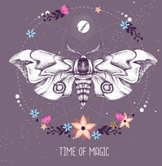 Modern magic witchcraft taros card with butterfly on astrology background. Vector illustration