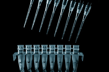  PCR Tube Strips Well  and Pipette in genetic research laboratory close up