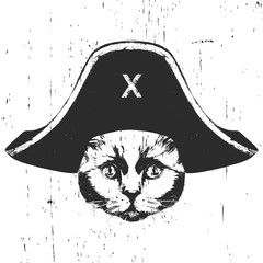 Wall Mural - Portrait of British Shorthair Cat with a pirate hat. Vector. 