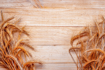 Wheat silhouette. Whole, barley, harvest wheat sprouts. Wheat grain ear or rye spike plant isolated on brown wood plank background, for cereal bread flour. Flat Lay, copy space.