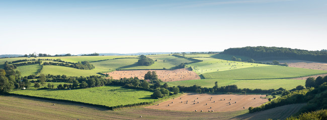 landscape with cornfields and meadows in regional parc de caps et marais d'opale in the north of fra