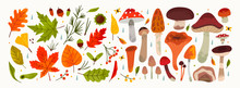 Hand Drawn Big Vector Set Of Various Types Of Mushrooms And Autumn Leaves, Rowan, Acorn And Chestnut. Colored Trendy Illustration. Flat Design. Stamp Texture. All Elements Are Isolated On White