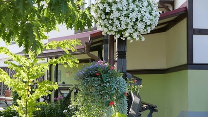 Canvas Print - Flowers on the terrace of a modern classic house