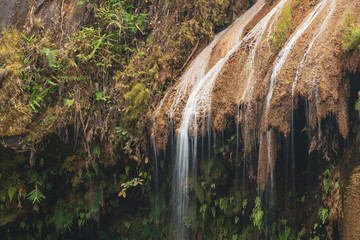 waterfall in the forest