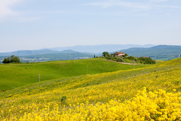 Sticker - Toskana im Frühling