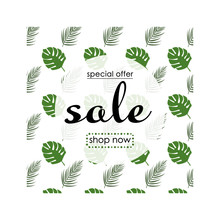 Pattern Sale Banner Design Background With Circle Frame, Special Offer Text. Green Sale Banner. Vector Vector.