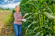 © JENOCHE - Woman farmer harvesting crop corn