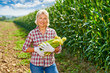 © JENOCHE - Woman farmer with a crop of maize.