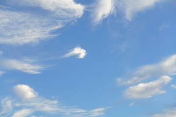 Wall Mural - Cirrus Wolken in blau und weiß