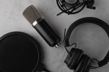 Studio professional microphone with accessories on a light background