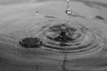 Close up of water droplet