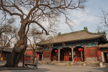 Canvas Print - Main hall at the Dongyue Taoist temple beside an old bare tree in Beijing, China