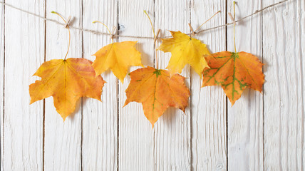 Wall Mural - autumn leaves on wooden background