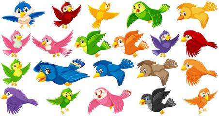 Wall Mural - set of bird cartoon character