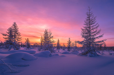 Wall Mural - Winter lanscape with sunset, trees and cliffs over the snow. Winter snowscape with forest, trees and snowy cliffs. Blue sky. Winter landscape.