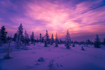 Wall Mural - Winter snowscape with forest, trees and snowy cliffs. Blue sky. Winter landscape. Christmas background