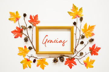 Wall Mural - colorful autumn leaf decoration, frame, text gracias means thank you