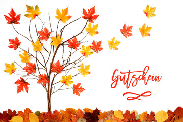 Wall Mural - tree with colorful leaf decoration, leaves flying away, gutschein means voucher