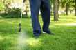 © New Africa - Worker spraying pesticide onto green lawn outdoors, closeup. Pest control