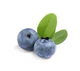 Fototapeta  - Delicious fresh ripe blueberries with leaves isolated on white