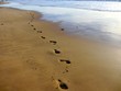 Human footsteps on wet sand at the very edge of the surf