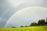Fototapeta Tęcza - Double rainbow above the small forest