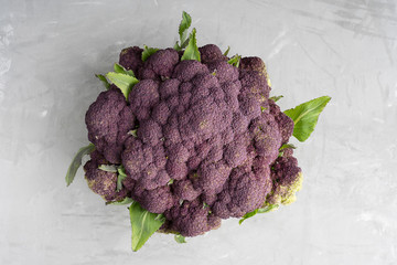 Wall Mural - Top view of lilac cauliflower or purple broccoli on gray concrete background at kitchen ready for cooking. Horizontal orientation image