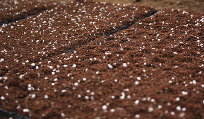 Soil in tray. Soil texture layers for natural background.Soil in tray. Soil texture layers for natural background.