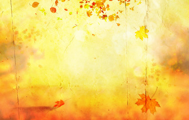 autumn maple tree abstract background