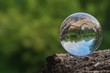 reflection of the forest and the river in the crystal ball