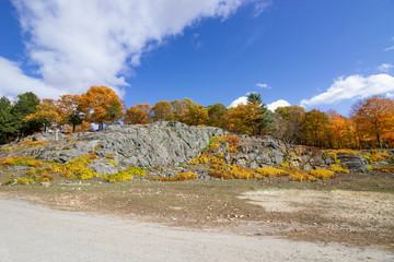 Sticker - Autumn Cliff