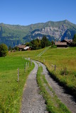 Fototapeta Tęcza - Track and alpine meadows, Axalp, Switzerland