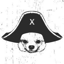Portrait Of Chihuahua With A Pirate Hat. Vector. 