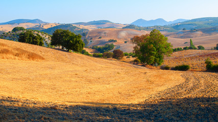 Poster - Beautiful shot of a golden valley with green mountains and blue sky on the background